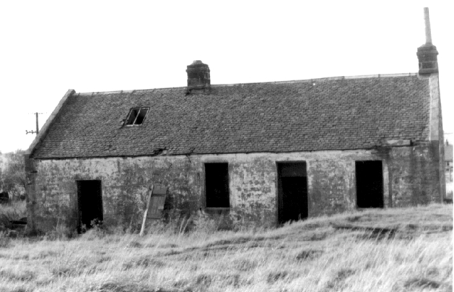 Shedenhall