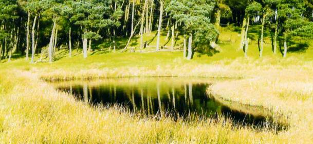 canthill-pond