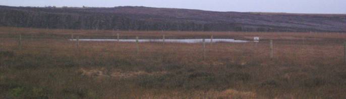 dewshill-loch