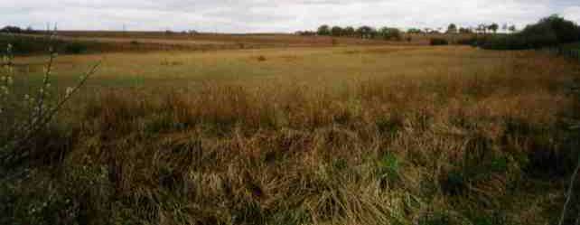 dunsyston-loch