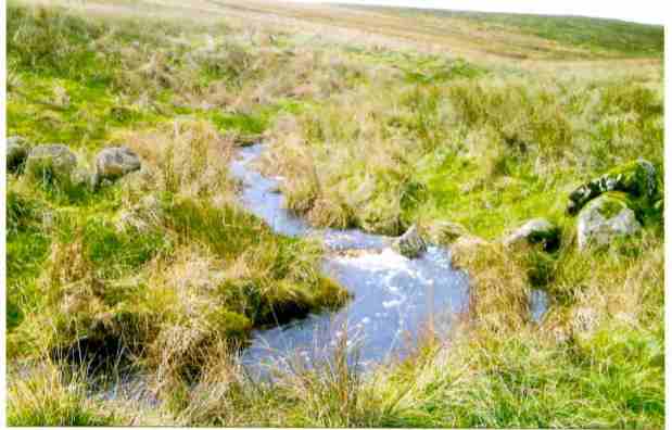 forestburn-water