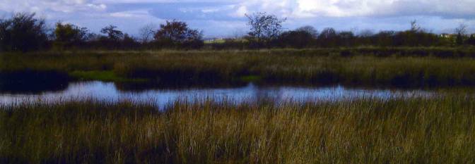 grays-loch