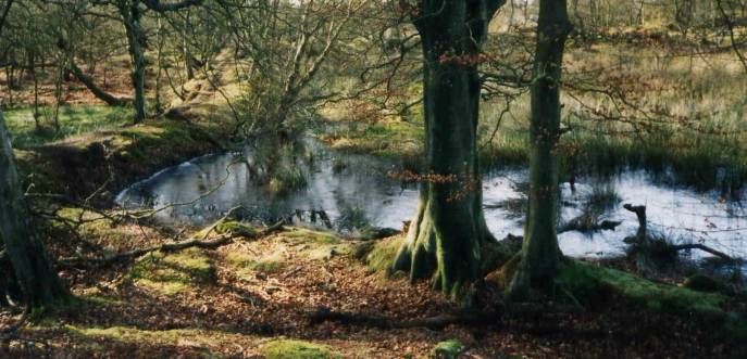 heatherhead-loch