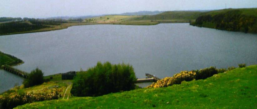 lily-loch