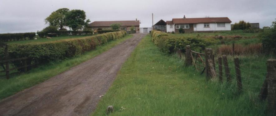 peatpotts