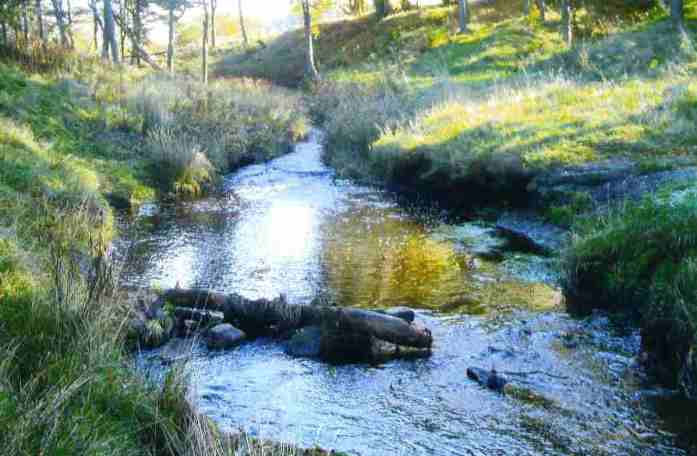 shotts-burn